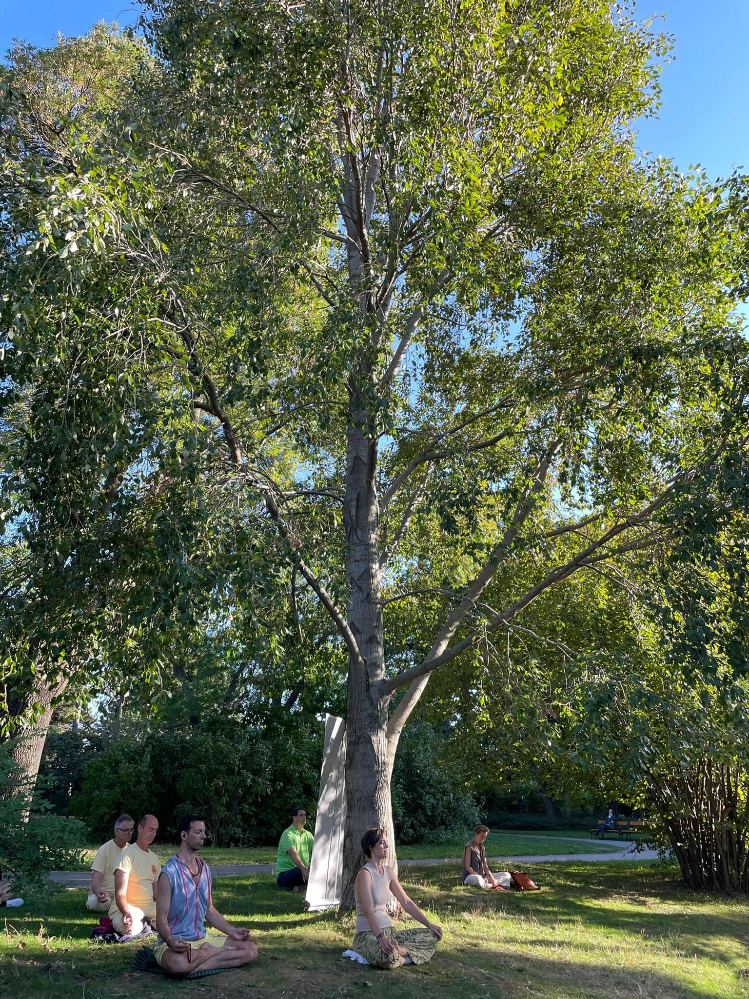 2023 09 21 Wien Weltfriedenstag 4